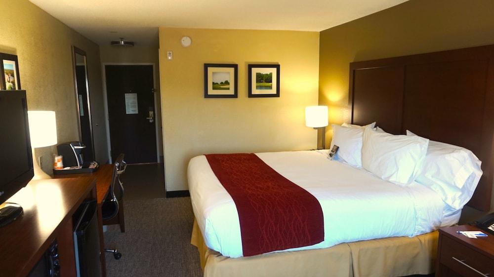 Comfort Inn & Suites Greenwood Near University מראה חיצוני תמונה